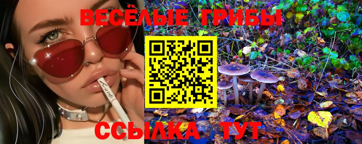 Псилоцибиновые грибы MAGIC MUSHROOMS Лянтор